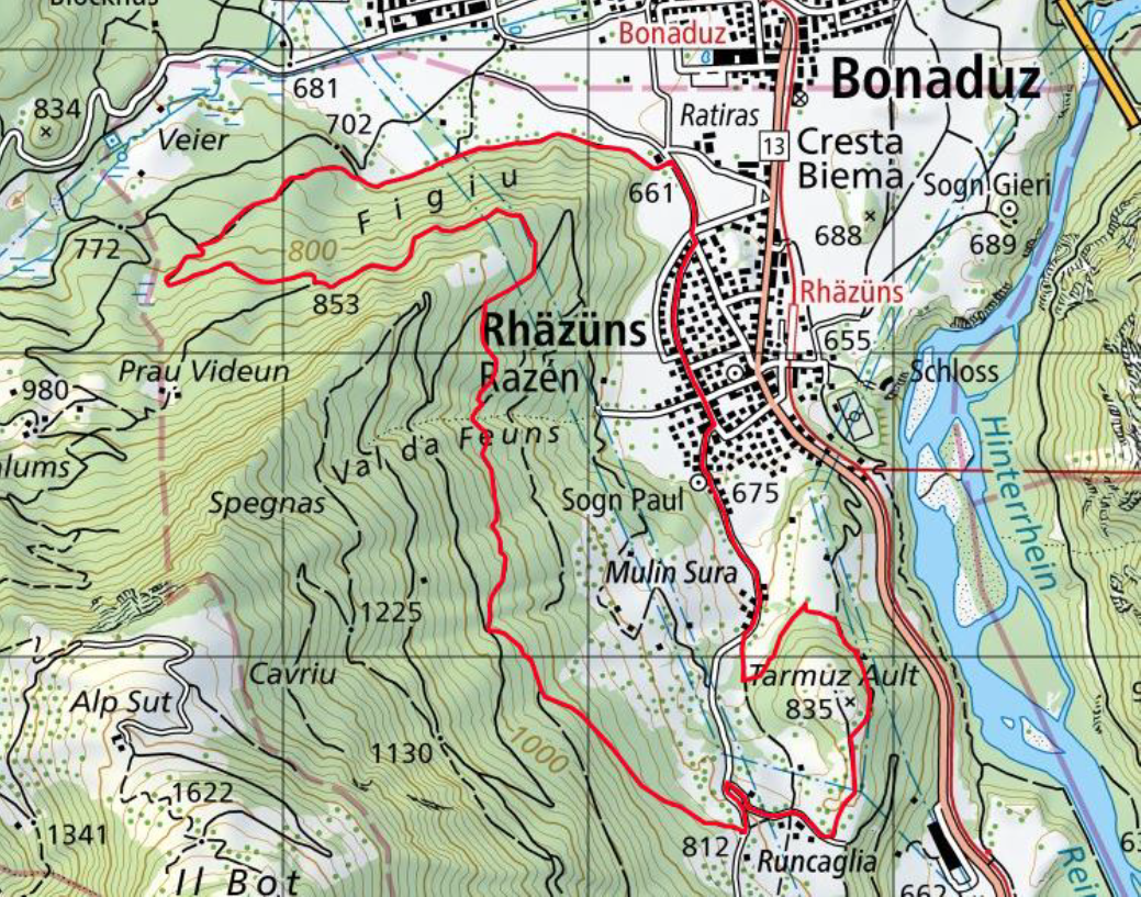 Veia Aulta da Razèn